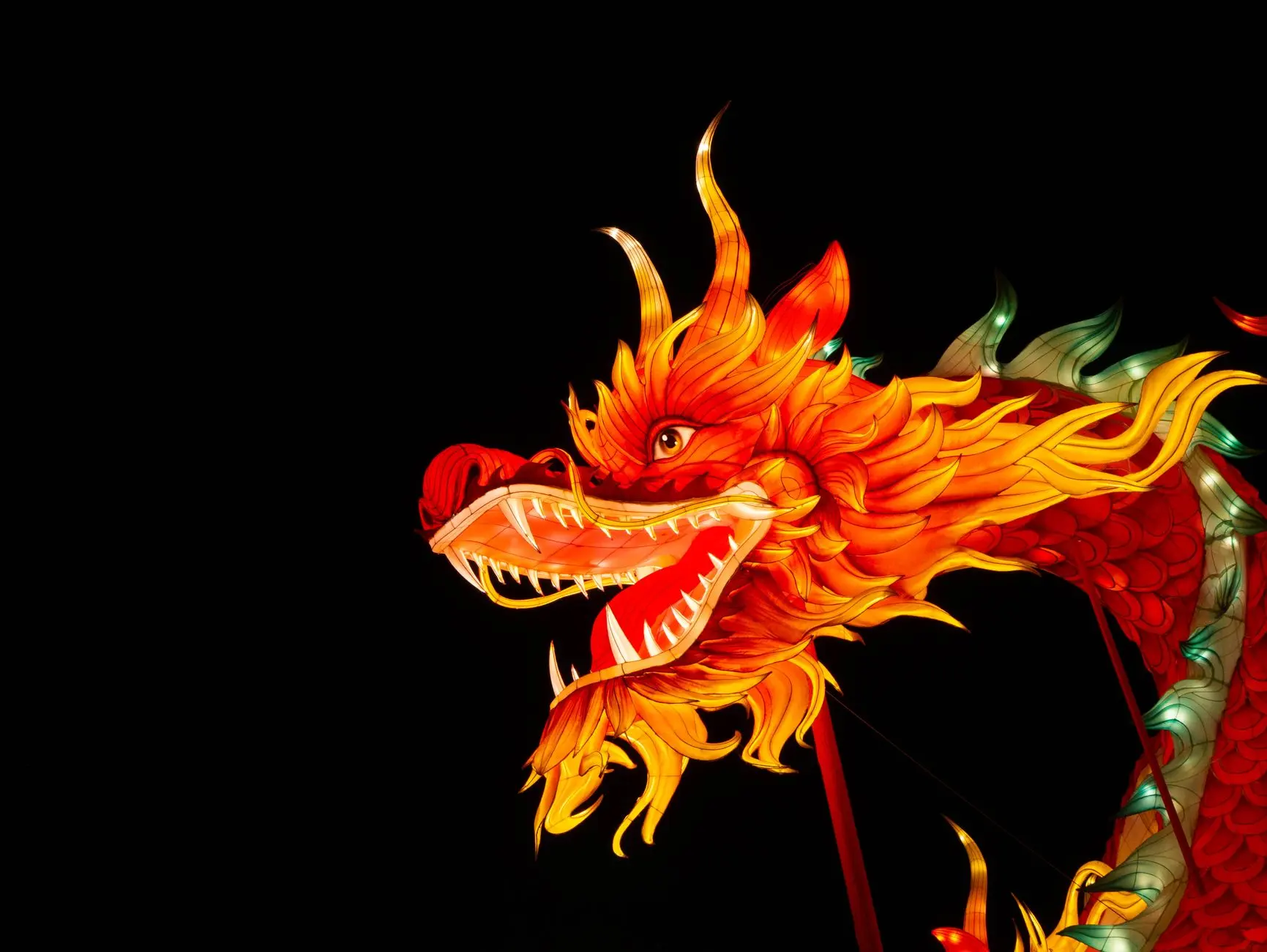 2024年美睫产品价格对比：日式嫁接与自然款睫毛护理方案