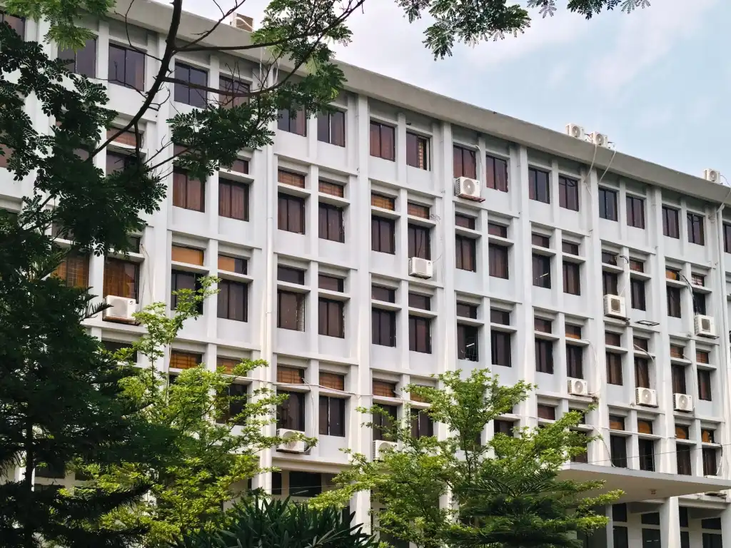 重庆美睫嫁接技术全解析：从单根到开花手法的效果差异