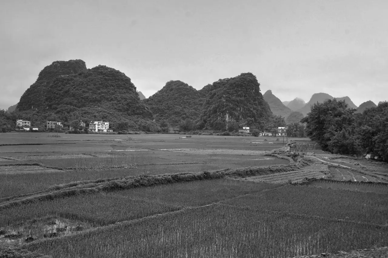 重庆美睫嫁接与睫毛护理的常见误区及科学养护方法解析