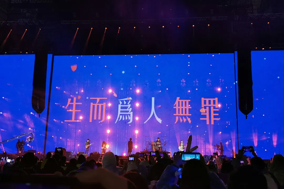 美睫嫁接持久度影响因素分析及专业提升方法